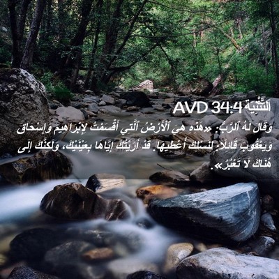 Picture 02 - اَلتَّثْنِيَة 34:4 AVD - وَقَالَ لَهُ ٱلرَّبُّ: - Bible Verse Picture