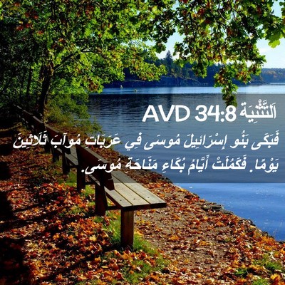 Picture 02 - اَلتَّثْنِيَة 34:8 AVD - فَبَكَى بَنُو - Bible Verse Picture