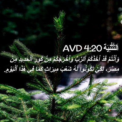 Picture 02 - اَلتَّثْنِيَة 4:20 AVD - وَأَنْتُمْ قَدْ - Bible Verse Picture