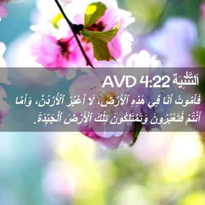 Picture 02 - اَلتَّثْنِيَة 4:22 AVD - فَأَمُوتُ أَنَا فِي هَذِهِ - Bible Verse Picture