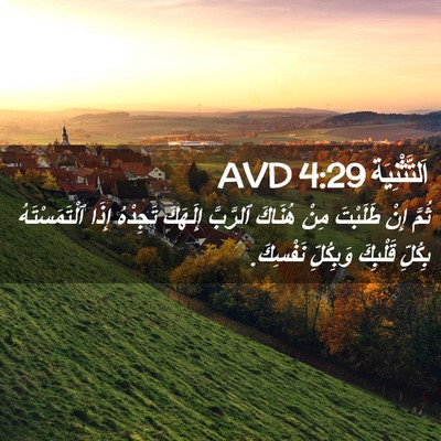 Picture 02 - اَلتَّثْنِيَة 4:29 AVD - ثُمَّ إِنْ طَلَبْتَ مِنْ - Bible Verse Picture