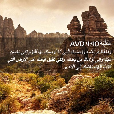 Picture 02 - اَلتَّثْنِيَة 4:40 AVD - وَٱحْفَظْ فَرَائِضَهُ - Bible Verse Picture