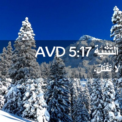 Picture 02 - اَلتَّثْنِيَة 5:17 AVD - لَا - Bible Verse Picture