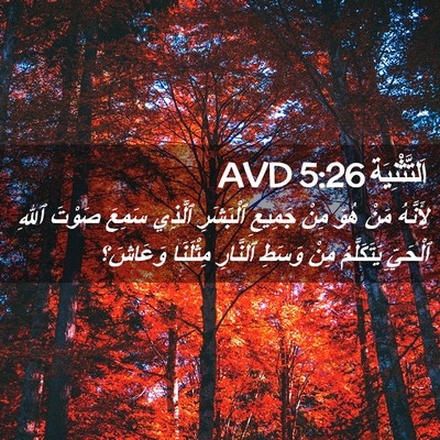 Picture 02 - اَلتَّثْنِيَة 5:26 AVD - لِأَنَّهُ مَنْ هُوَ مِنْ - Bible Verse Picture