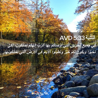 Picture 02 - اَلتَّثْنِيَة 5:33 AVD - فِي جَمِيعِ ٱلطَّرِيقِ - Bible Verse Picture