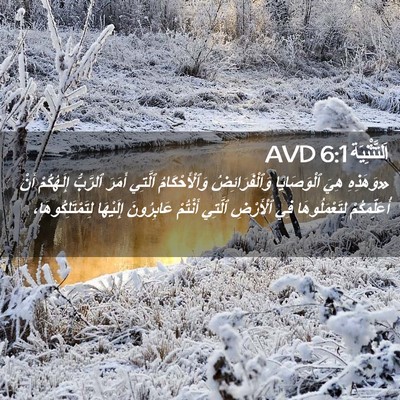Picture 02 - اَلتَّثْنِيَة 6:1 AVD - «وَهَذِهِ هِيَ - Bible Verse Picture