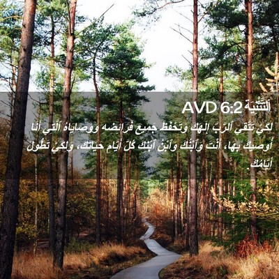 Picture 02 - اَلتَّثْنِيَة 6:2 AVD - لِكَيْ تَتَّقِيَ ٱلرَّبَّ - Bible Verse Picture