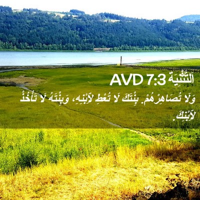 Picture 02 - اَلتَّثْنِيَة 7:3 AVD - وَلَا تُصَاهِرْهُمْ. - Bible Verse Picture