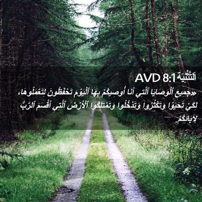 Picture 02 - اَلتَّثْنِيَة 8:1 AVD - «جَمِيعَ ٱلْوَصَايَا - Bible Verse Picture