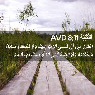 Picture 02 - اَلتَّثْنِيَة 8:11 AVD - اِحْتَرِزْ مِنْ أَنْ - Bible Verse Picture
