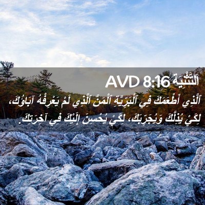 Picture 02 - اَلتَّثْنِيَة 8:16 AVD - ٱلَّذِي أَطْعَمَكَ فِي - Bible Verse Picture