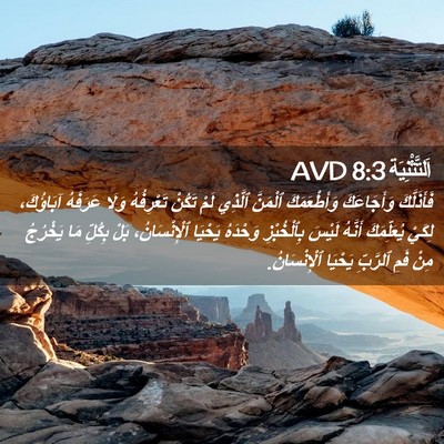 Picture 02 - اَلتَّثْنِيَة 8:3 AVD - فَأَذَلَّكَ وَأَجَاعَكَ - Bible Verse Picture