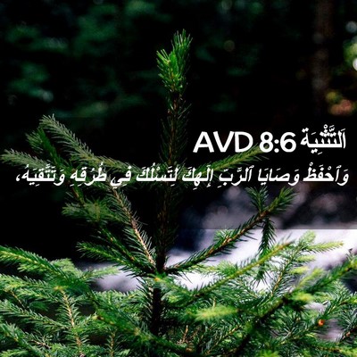 Picture 02 - اَلتَّثْنِيَة 8:6 AVD - وَٱحْفَظْ وَصَايَا - Bible Verse Picture