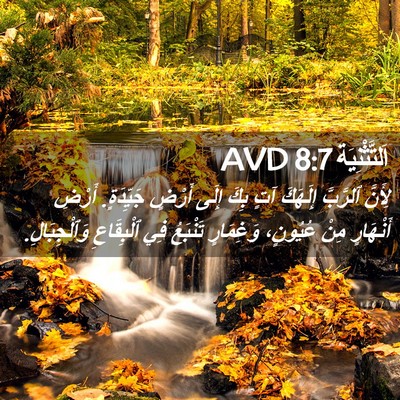 Picture 02 - اَلتَّثْنِيَة 8:7 AVD - لِأَنَّ ٱلرَّبَّ إِلَهَكَ - Bible Verse Picture