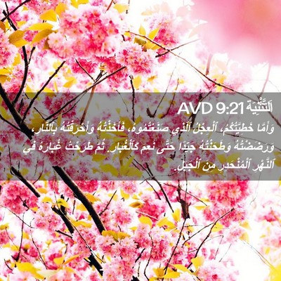 Picture 02 - اَلتَّثْنِيَة 9:21 AVD - وَأَمَّا خَطِيَّتُكُمُ، - Bible Verse Picture