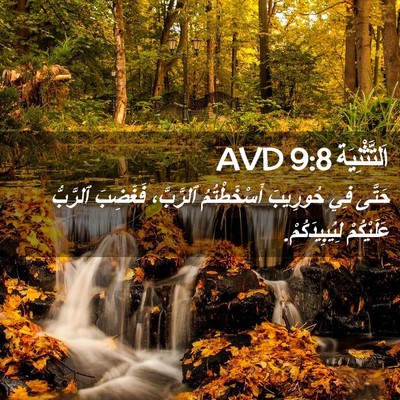 Picture 02 - اَلتَّثْنِيَة 9:8 AVD - حَتَّى فِي حُورِيبَ - Bible Verse Picture