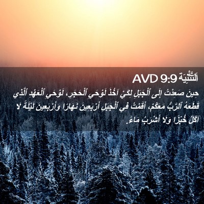 Picture 02 - اَلتَّثْنِيَة 9:9 AVD - حِينَ صَعِدْتُ إِلَى - Bible Verse Picture