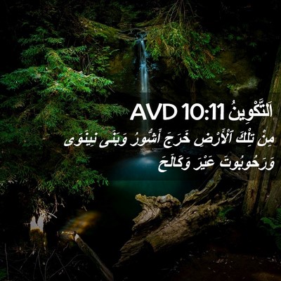 Picture 02 - اَلتَّكْوِينُ 10:11 AVD - مِنْ تِلْكَ ٱلْأَرْضِ - Bible Verse Picture
