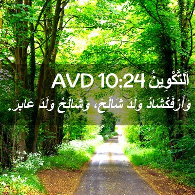 Picture 02 - اَلتَّكْوِينُ 10:24 AVD - وَأَرْفَكْشَادُ وَلَدَ - Bible Verse Picture