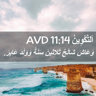 Picture 02 - اَلتَّكْوِينُ 11:14 AVD - وَعَاشَ شَالَحُ - Bible Verse Picture