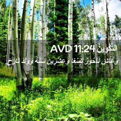 Picture 02 - اَلتَّكْوِينُ 11:24 AVD - وَعَاشَ نَاحُورُ تِسْعًا - Bible Verse Picture