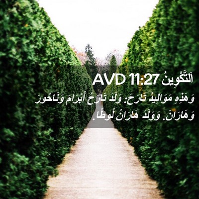 Picture 02 - اَلتَّكْوِينُ 11:27 AVD - وَهَذِهِ مَوَالِيدُ - Bible Verse Picture