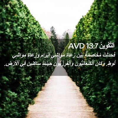 Picture 02 - اَلتَّكْوِينُ 13:7 AVD - فَحَدَثَتْ مُخَاصَمَةٌ - Bible Verse Picture