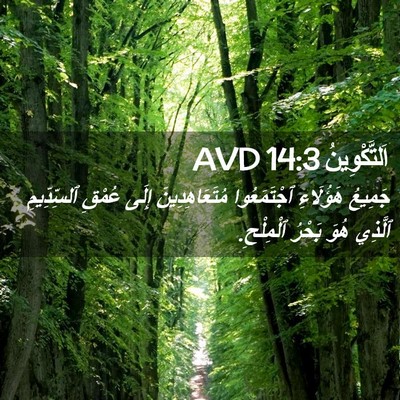 Picture 02 - اَلتَّكْوِينُ 14:3 AVD - جَمِيعُ هَؤُلَاءِ - Bible Verse Picture