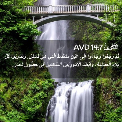 Picture 02 - اَلتَّكْوِينُ 14:7 AVD - ثُمَّ رَجَعُوا وَجَاءُوا - Bible Verse Picture