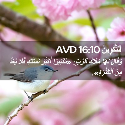 Picture 02 - اَلتَّكْوِينُ 16:10 AVD - وَقَالَ لَهَا مَلَاكُ - Bible Verse Picture