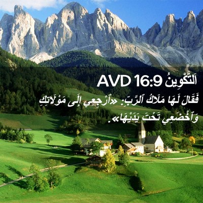 Picture 02 - اَلتَّكْوِينُ 16:9 AVD - فَقَالَ لَهَا مَلَاكُ - Bible Verse Picture