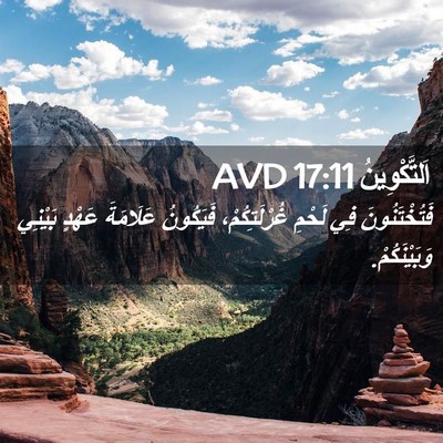 Picture 02 - اَلتَّكْوِينُ 17:11 AVD - فَتُخْتَنُونَ فِي لَحْمِ - Bible Verse Picture