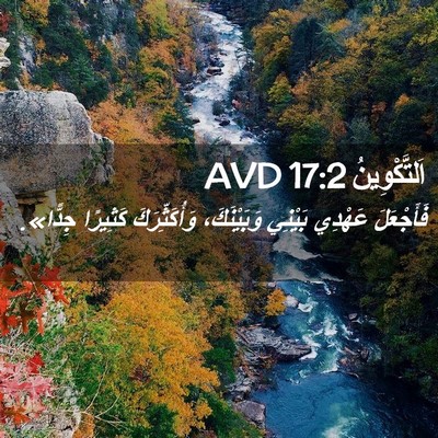 Picture 02 - اَلتَّكْوِينُ 17:2 AVD - فَأَجْعَلَ عَهْدِي - Bible Verse Picture