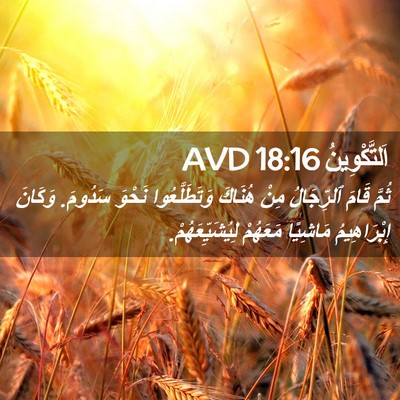 Picture 02 - اَلتَّكْوِينُ 18:16 AVD - ثُمَّ قَامَ ٱلرِّجَالُ - Bible Verse Picture