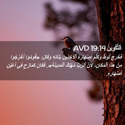 Picture 02 - اَلتَّكْوِينُ 19:14 AVD - فَخَرَجَ لُوطٌ وَكَلَّمَ - Bible Verse Picture