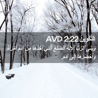 Picture 02 - اَلتَّكْوِينُ 2:22 AVD - وَبَنَى ٱلرَّبُّ - Bible Verse Picture
