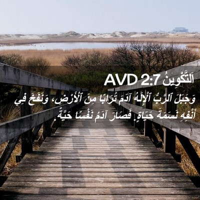 Picture 02 - اَلتَّكْوِينُ 2:7 AVD - وَجَبَلَ ٱلرَّبُّ - Bible Verse Picture