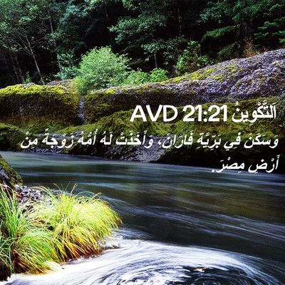 Picture 02 - اَلتَّكْوِينُ 21:21 AVD - وَسَكَنَ فِي بَرِّيَّةِ - Bible Verse Picture