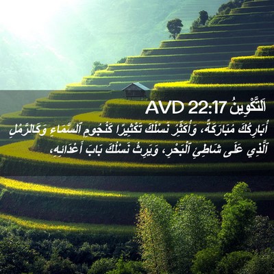 Picture 02 - اَلتَّكْوِينُ 22:17 AVD - أُبَارِكُكَ مُبَارَكَةً، - Bible Verse Picture