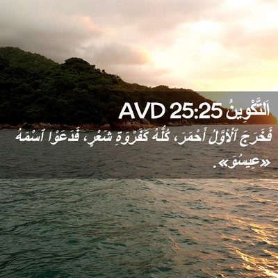 Picture 02 - اَلتَّكْوِينُ 25:25 AVD - فَخَرَجَ ٱلْأوَّلُ - Bible Verse Picture