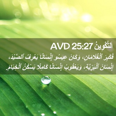 Picture 02 - اَلتَّكْوِينُ 25:27 AVD - فَكَبِرَ ٱلْغُلَامَانِ، - Bible Verse Picture