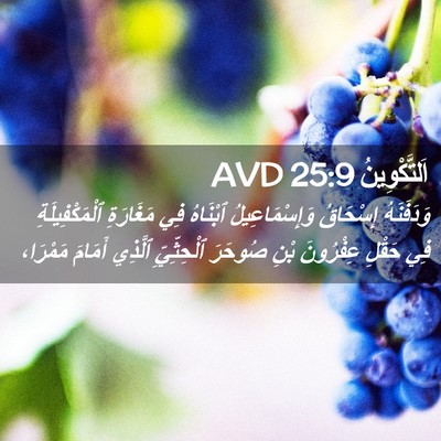 Picture 02 - اَلتَّكْوِينُ 25:9 AVD - وَدَفَنَهُ إِسْحَاقُ - Bible Verse Picture