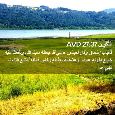 Picture 02 - اَلتَّكْوِينُ 27:37 AVD - فَأَجَابَ إِسْحَاقُ - Bible Verse Picture