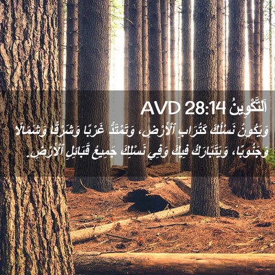Picture 02 - اَلتَّكْوِينُ 28:14 AVD - وَيَكُونُ نَسْلُكَ - Bible Verse Picture