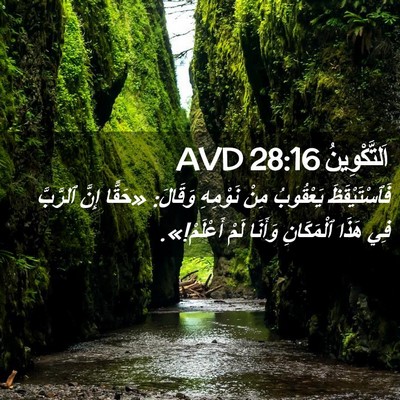 Picture 02 - اَلتَّكْوِينُ 28:16 AVD - فَٱسْتَيْقَظَ يَعْقُوبُ - Bible Verse Picture