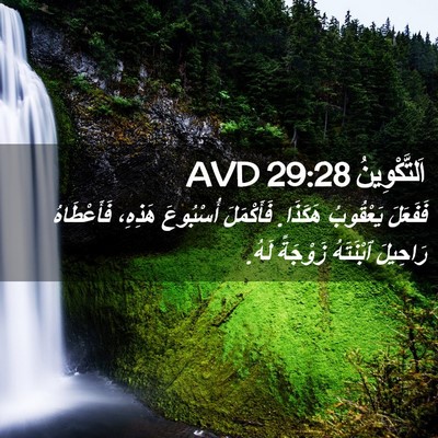 Picture 02 - اَلتَّكْوِينُ 29:28 AVD - فَفَعَلَ يَعْقُوبُ - Bible Verse Picture