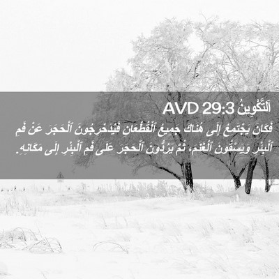Picture 02 - اَلتَّكْوِينُ 29:3 AVD - فَكَانَ يَجْتَمِعُ إِلَى - Bible Verse Picture