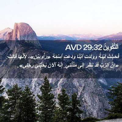 Picture 02 - اَلتَّكْوِينُ 29:32 AVD - فَحَبِلَتْ لَيْئَةُ - Bible Verse Picture