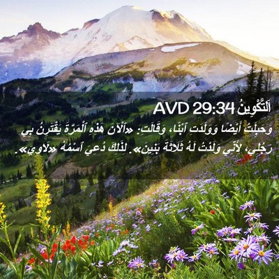 Picture 02 - اَلتَّكْوِينُ 29:34 AVD - وَحَبِلَتْ أَيْضًا - Bible Verse Picture