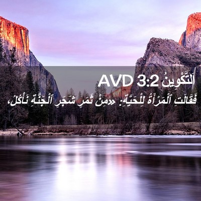 Picture 02 - اَلتَّكْوِينُ 3:2 AVD - فَقَالَتِ ٱلْمَرْأَةُ - Bible Verse Picture